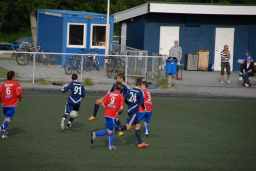 stall2012ogmidsund 083